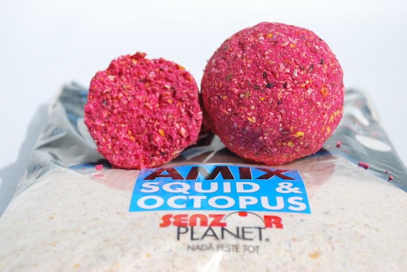 Senzor - amix-squid.jpg